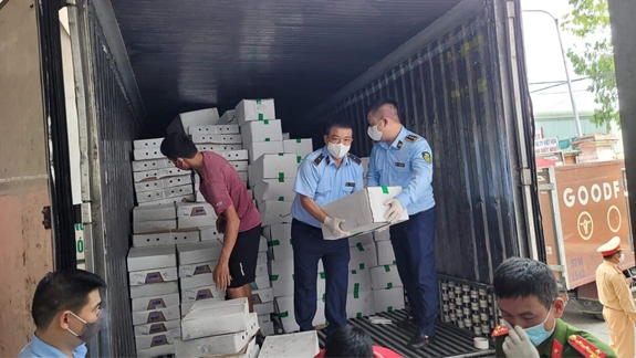 Hà Nội: Thu giữ 10 tấn nội tạng đông lạnh đã bốc mùi hôi thối